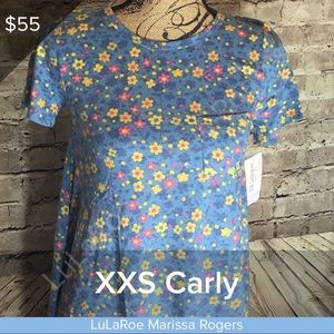 LuLaRoe NWT XXS Carly Dress